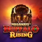 Buffalo Rising Features Minimum Bet:£0.10 Maximum Bet:£10.00 Return to Player:96.5% Paylines:2000 Bonus Features: Free Spins