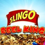 Reel King Slot Bingo Slingo Games At Foxy Games 2021-2022