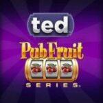 TED Pub Fruits slot game