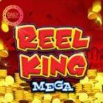 Reel King Mega Daily Jackpot Slot at Gala Spins