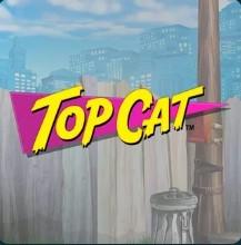 Top-Cat-slot-at-Grosvenor-top-popular-slot-games-2022