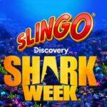 Discovery-Slingo-Shark-Week-The-Discovery-Channel